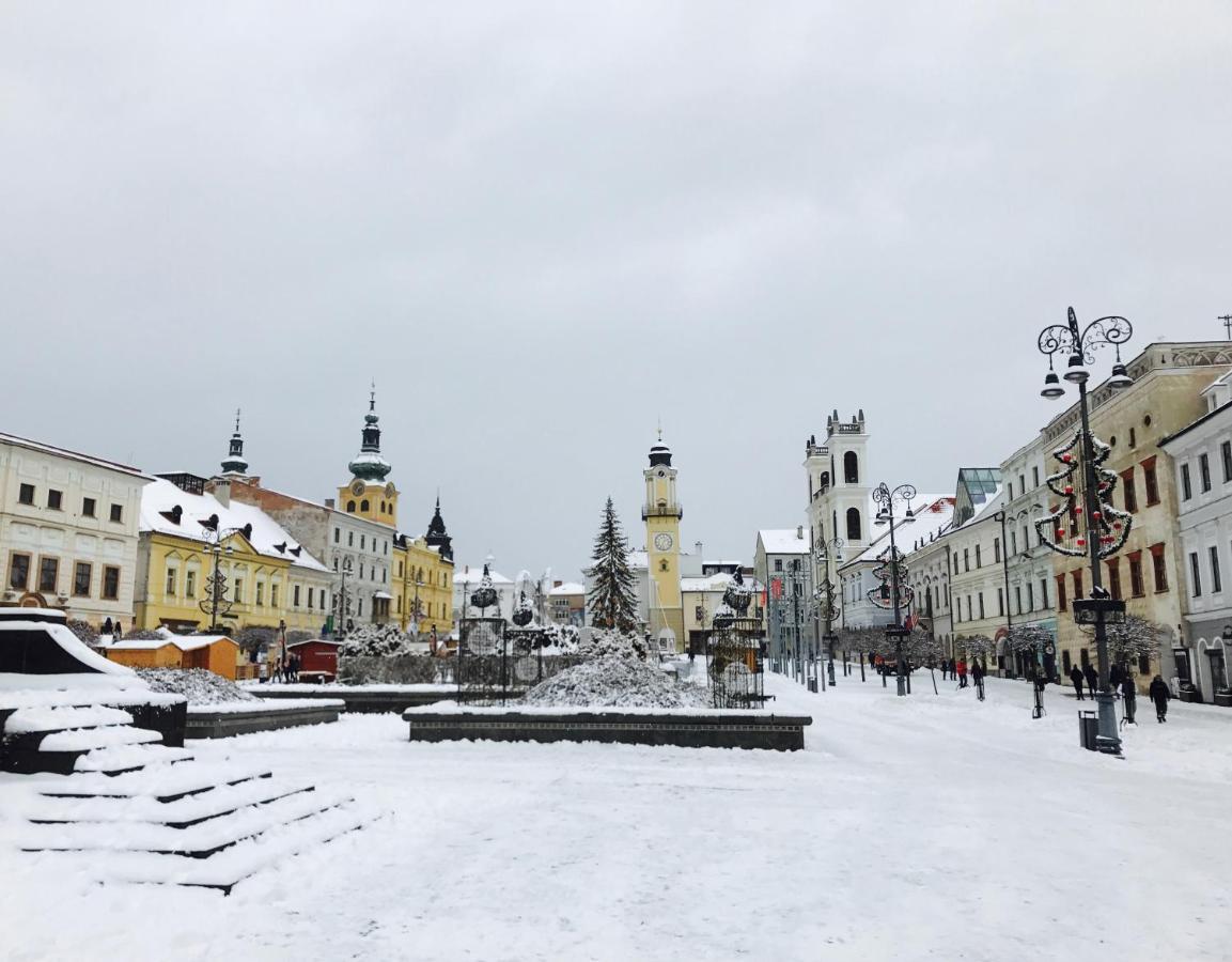 Bl - The Penthouse, 24Hr Self Check-In, 2 Bedrooms, Fireplace, Ac, Panoramic View From Main Balcony, 3-Minute Walk To City Center Банска бистрица Екстериор снимка